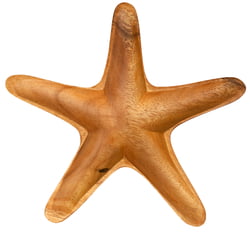 Starfish Shaped Bowl, 7" x 1.5"