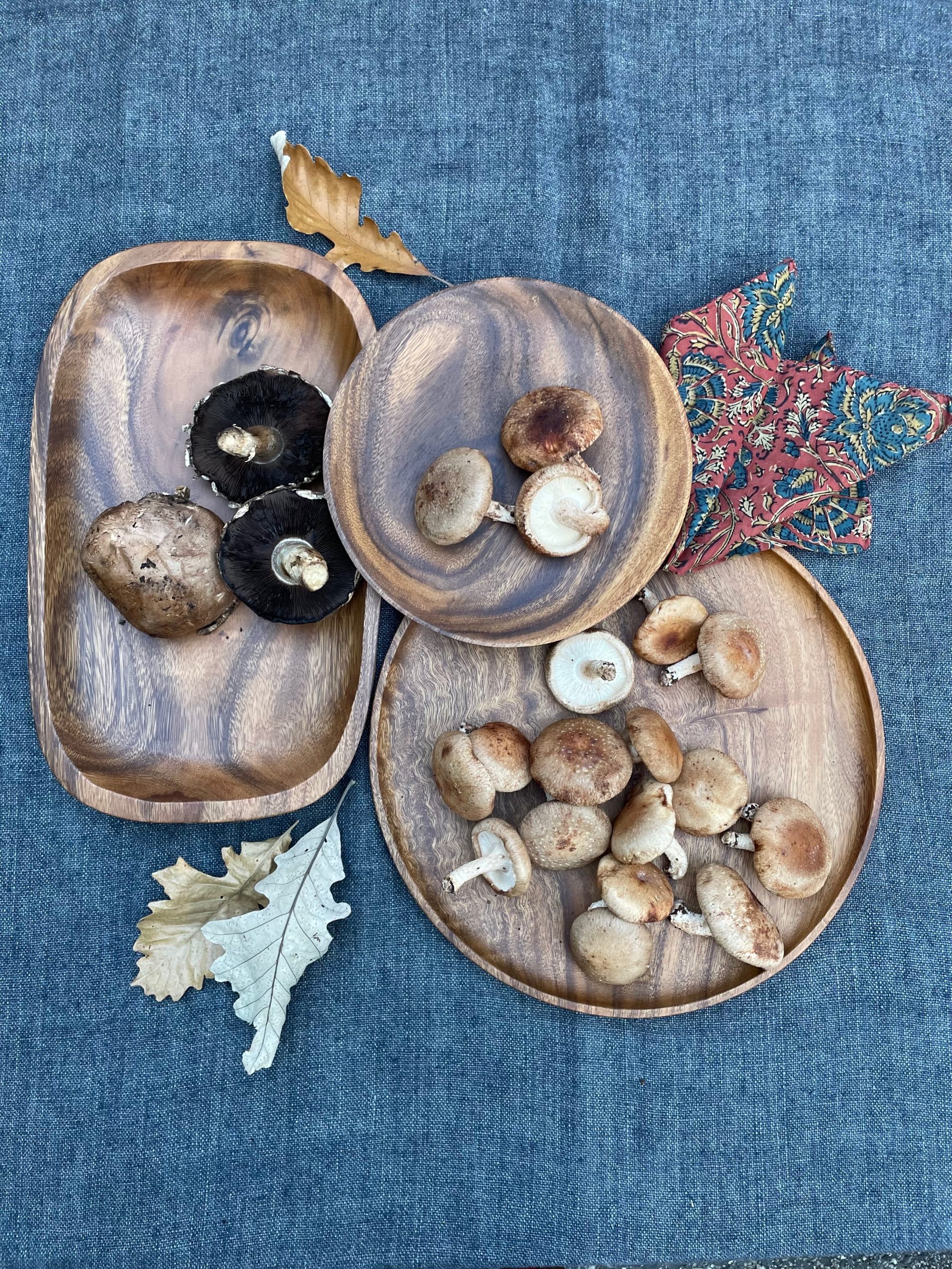 Sustainable Tableware: Experience the Delight of Mushroom Season with